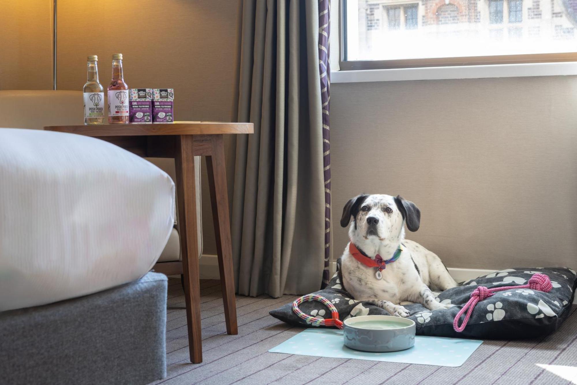 Hotel Hilton Centre 4*